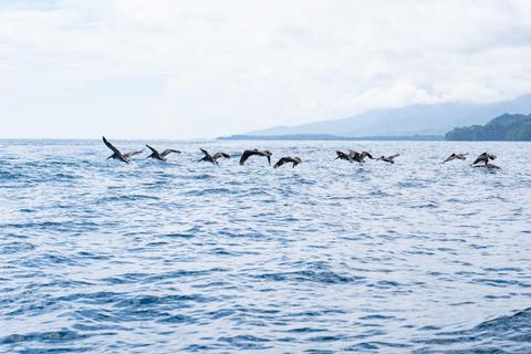 Snorkeling Marino Ballena Costa Rica